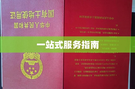 庆阳一站式服务指南